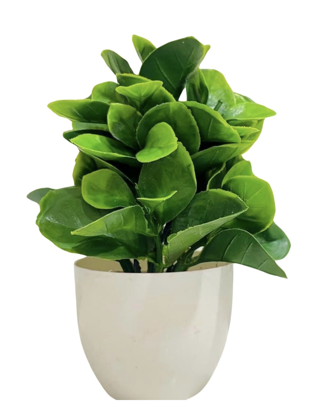 Sub-image 7